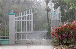 Cơn 'mưa vàng' giải nhiệt bầu không khí khô nóng ở An Giang